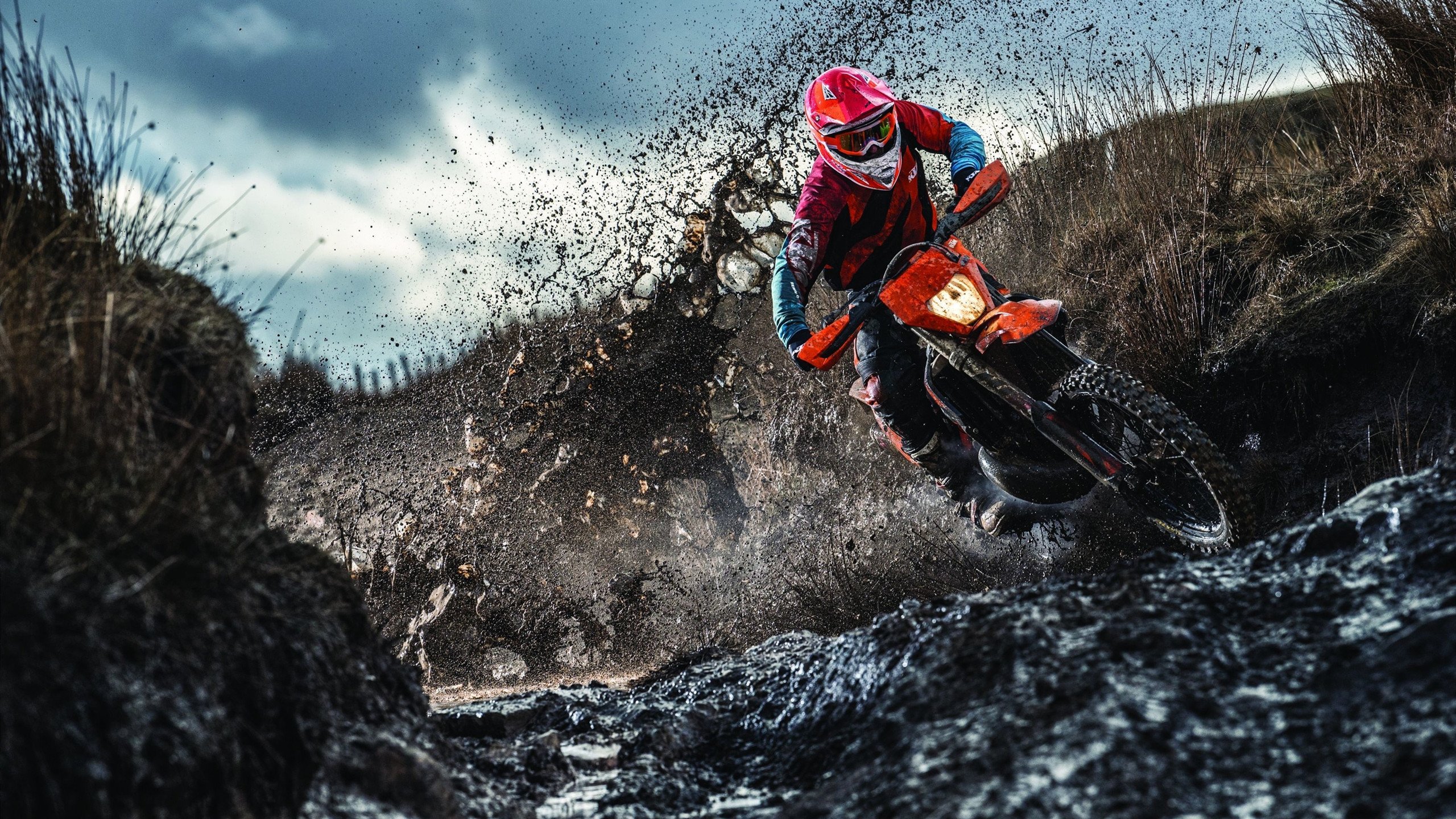 银箭觉醒与黑马神话，诺里斯无懈可击的统治之战